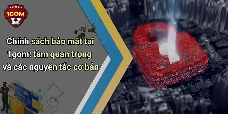Chính sách bảo mật tại 1gom: tầm quan trọng và các nguyên tắc cơ bản