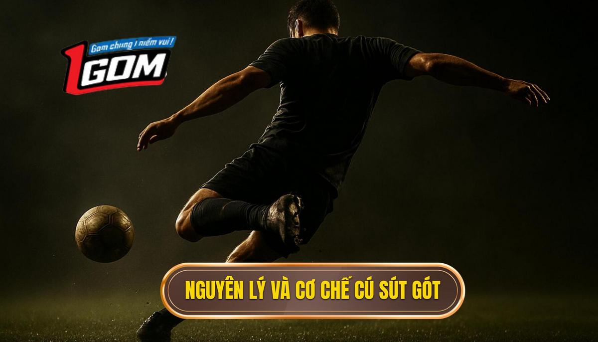 Nguyên lý cơ bản và cơ chế chuyển động của cú sút gót
